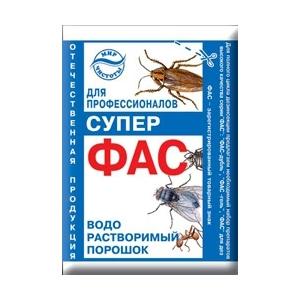 Какие виды тараканов обитают в квартире?